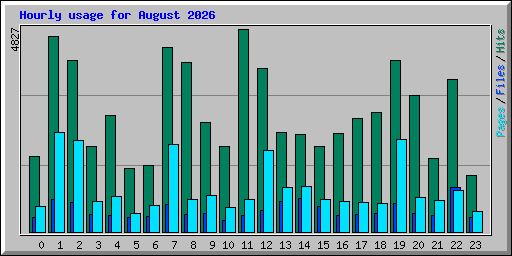Hourly usage for August 2026