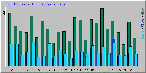 Hourly usage for September 2026