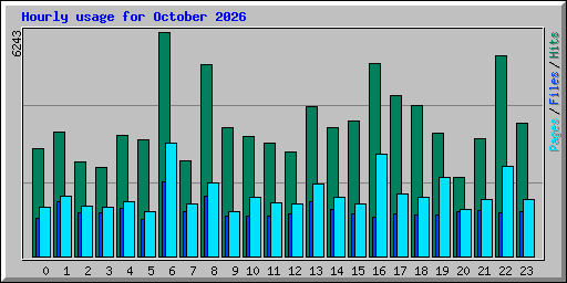 Hourly usage for October 2026
